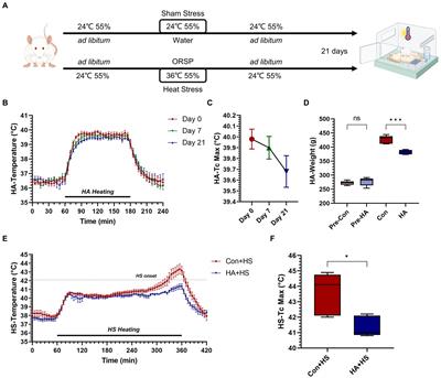 Heat acclimation with probiotics-based ORS supplementation alleviates heat stroke-induced multiple organ dysfunction via improving intestinal thermotolerance and modulating gut microbiota in rats